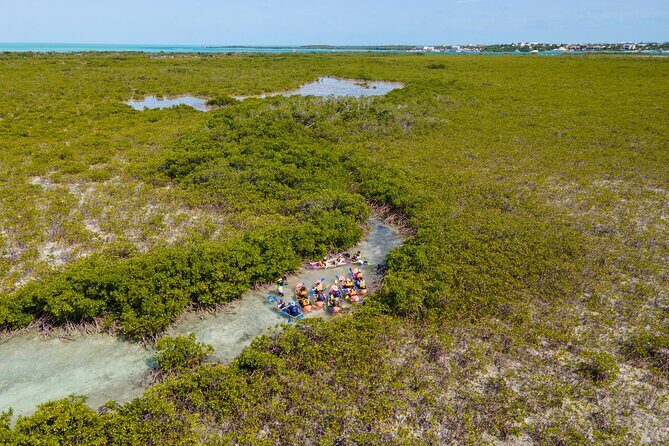2 Hours Clear Kayaking Activity on Mangrove Cay - Key points to know before you go