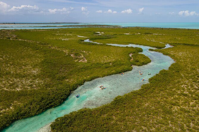 2 Hours Clear Kayaking Activity on Mangrove Cay - Clear Kayaking Through Mangrove Cay: The Big Idea