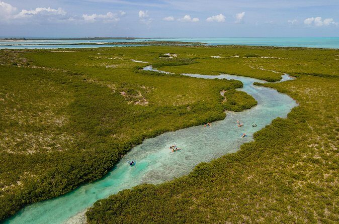 2 Hours Clear Kayaking Activity on Mangrove Cay - Paddling Real Talk: Fitness Level, Spray, and Choppy Conditions