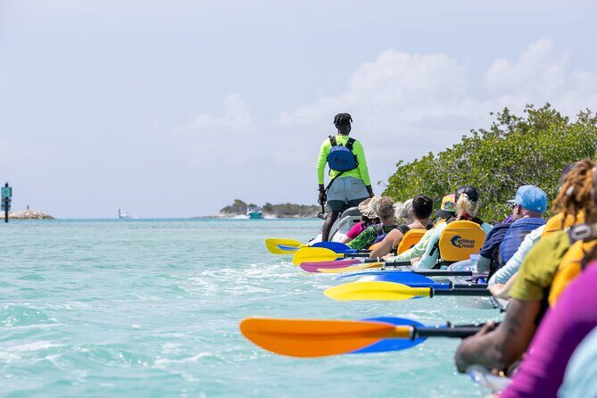 2 Hours Clear Kayaking Activity on Mangrove Cay - Gear and Group Size: What a Cap of 50 Means in Practice