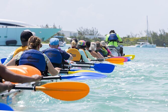 2 Hours Clear Kayaking Activity on Mangrove Cay - Price and Getting There: Is $125 Good Value?