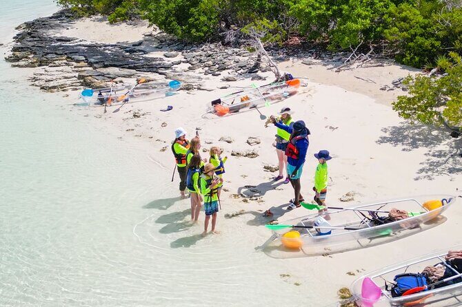3HR Clear Kayak Mangrove and iguana island Tour in Leeward - Clear Kayaks in Providenciales: What Makes This Tour Different