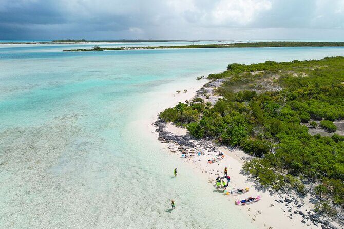 3HR Clear Kayak Mangrove and iguana island Tour in Leeward - Logistics in Leeward: Pickup, Mobile Tickets, and Parking Costs