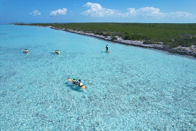 3hr Clear Kayak Tour of Mangroves, Marine Life and Iguanas - Meeting Point, Pickup, and What to Expect Before You Paddle