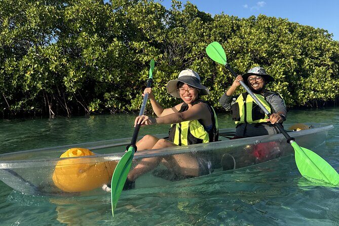 3hr Clear Kayak Tour of Mangroves, Marine Life and Iguanas - Paddling Time, Effort Level, and Weather Reality