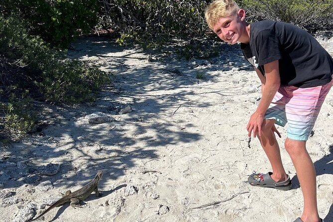 3hr Clear Kayak Tour of Mangroves, Marine Life and Iguanas - Price and Value: Is $134.40 a Fair Deal?