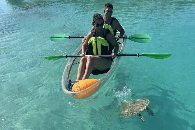 3hr Clear Kayak Tour of Mangroves, Marine Life and Iguanas - Who Should Book This Clear Kayak and Iguanas Tour?