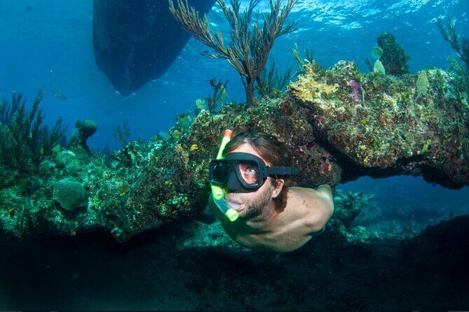 3HR Emerald reef snorkeling, iguana island and shipwreck tour - Key Highlights You’ll Feel Immediately