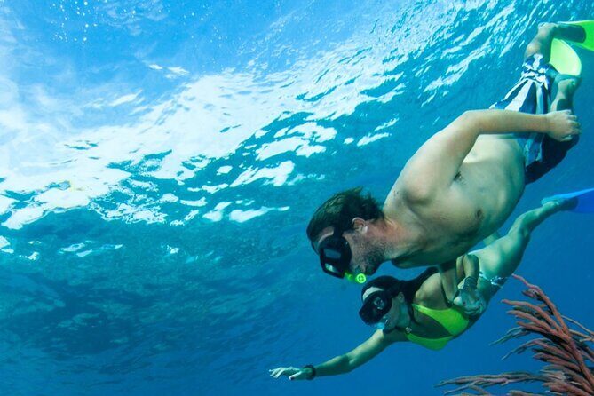 3HR Emerald reef snorkeling, iguana island and shipwreck tour - Little Water Cay and Iguana Island: Wildlife Time That Feels Close