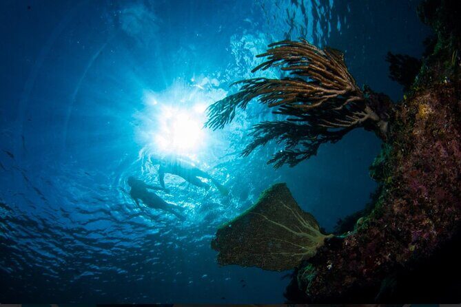 3HR Emerald reef snorkeling, iguana island and shipwreck tour - Who Should Book This Tour (And Who Should Think Twice)