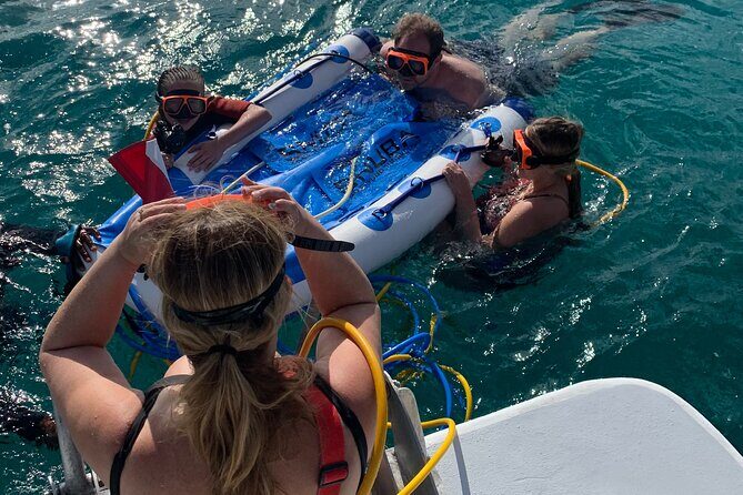3HR Snuba, shipwreck and Iguana island tour - Key points before you go