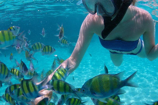4-Hour Catamaran Sail and Snorkel Tour from Grace Bay - Half Moon Bay vs Little Water Cay: beach time and rock iguanas