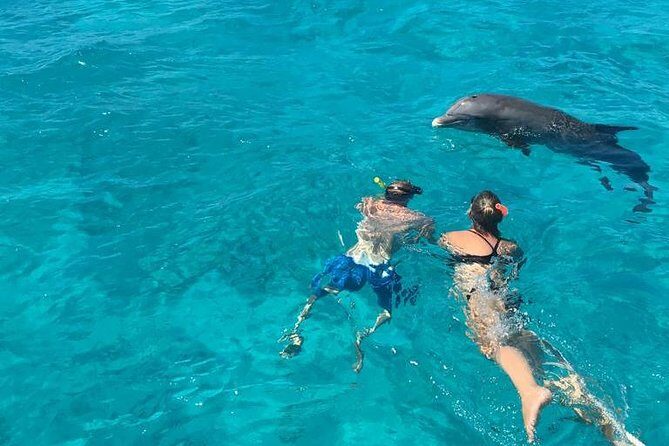4-Hour Catamaran Sail and Snorkel Tour from Grace Bay - Who should book this tour (and who should think twice)