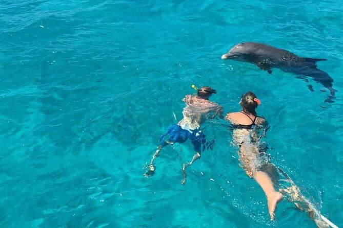 4 Hour Private Catamaran Sail and Snorkel from Grace Bay Beach, Providenciales - Half Moon Bay nature walk: iguanas and a sandbar feel