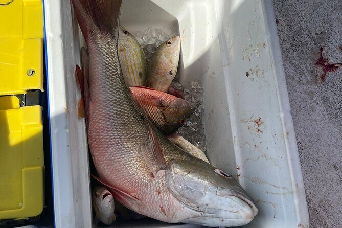 4HR-Halfday Private Fishing Tour in Gracebay - The boat experience: crew energy and music