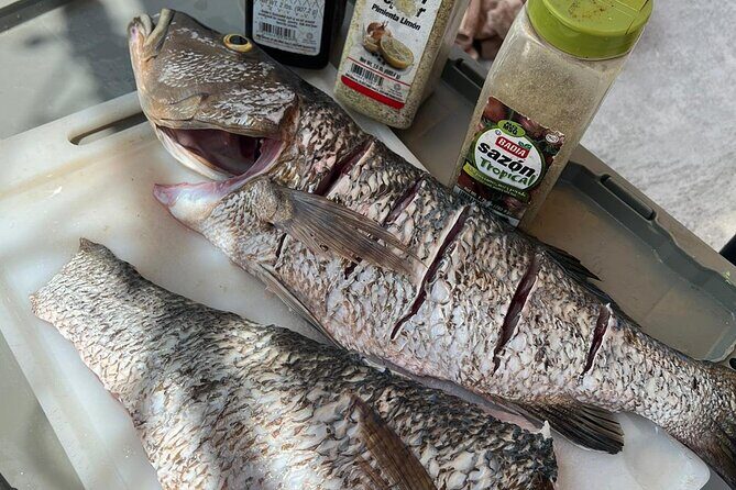4HR-Halfday Private Fishing Tour in Gracebay - What’s included on board (and what to plan for)