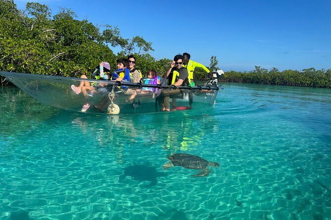 6-Passenger Motorized Clear Kayak Mangrove Tour in Providenciales - Key things to know before you go