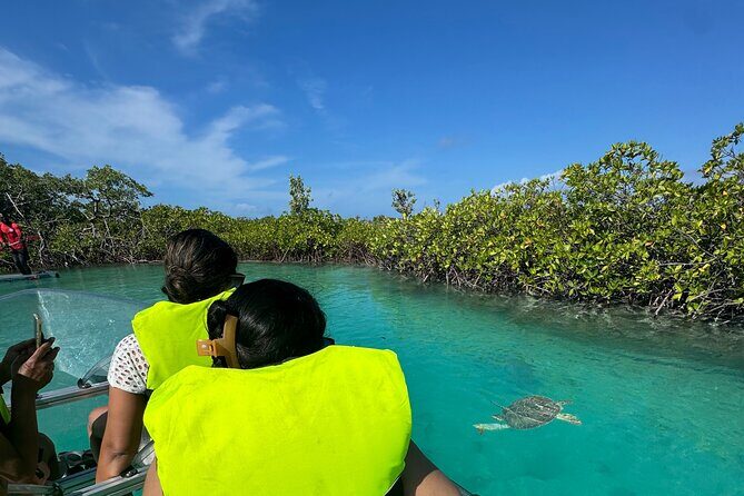 6-Passenger Motorized Clear Kayak Mangrove Tour in Providenciales - How the 2-Hour Trip Flows (and Where You Spend Your Time)
