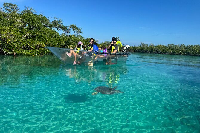 6-Passenger Motorized Clear Kayak Mangrove Tour in Providenciales - What’s Included, What You’ll Need, and What to Expect