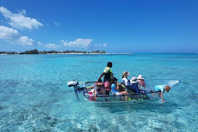 6-Passenger Motorized Clear Kayak Mangrove Tour in Providenciales - Price and Value for Up to 6: Is $482 Worth It?