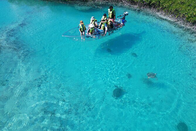 6-Passenger Motorized Clear Kayak Mangrove Tour in Providenciales - Getting There: Clear Wave Tours in Leeward Settlement