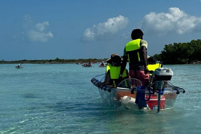 6-Passenger Motorized Clear Kayak Mangrove Tour in Providenciales - Should You Book This Motorized Clear Kayak Tour?