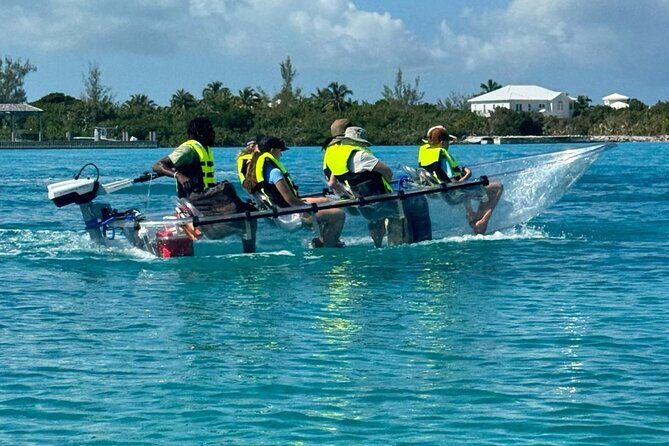 6-Passenger Motorized Clear Kayak Mangrove Tour in Providenciales - Mangrove Cay Channels: Wildlife You Can See From Your Seat
