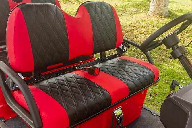 6 Seater Luxury Golf Carts Rental in Grand Turk - Should You Book This Grand Turk 6-Seater Luxury Golf Cart?