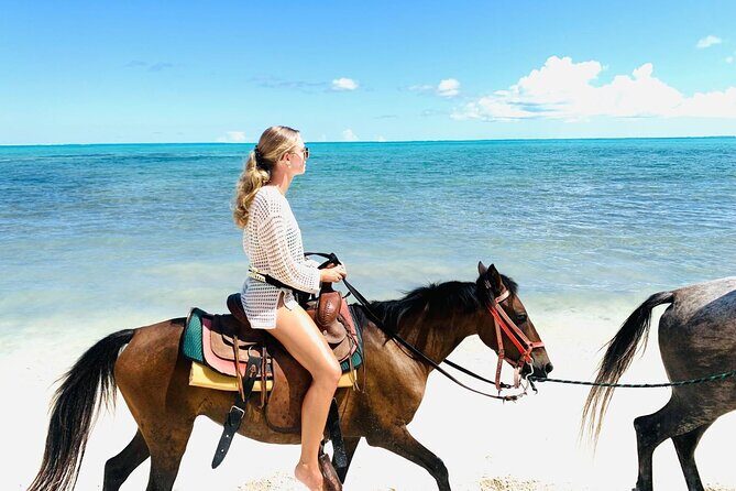 60-Minute Private Horseback Riding Experience in Turks and Caicos - Key Highlights You’ll Actually Care About