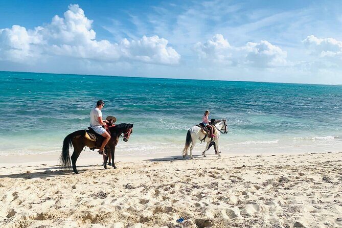 60-Minute Private Horseback Riding Experience in Turks and Caicos - Horses and Safety: Comfort First, Then Confidence