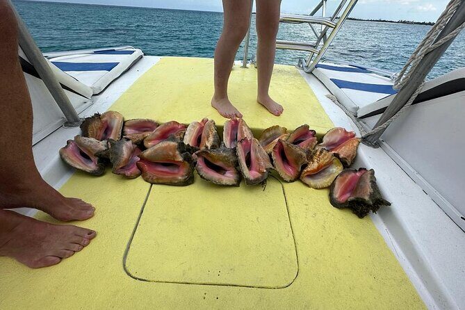 6HR-Provo Cays exploration with Lunch in Gracebay - The conch hunt: why this tour feels more hands-on than most