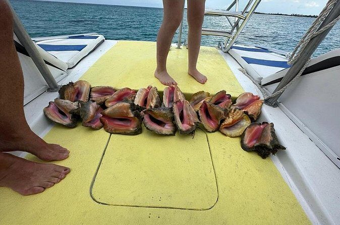 6HR-Provo Cays exploration with Lunch in Gracebay - The Grace Bay beach BBQ: lunch on sand, with drinks included