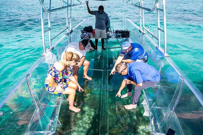 75 Minutes Clear Boat Tour in Caicos Island - Key Highlights to Know Before You Go