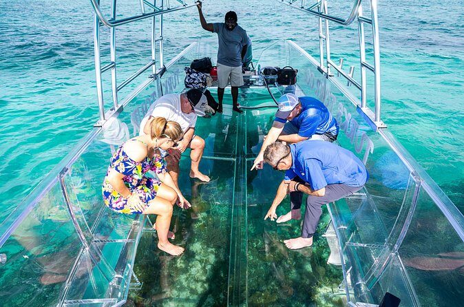 75 Minutes Clear Boat Tour in Caicos Island - Where You Meet and How the Tour Ends Back at Turtle Cove