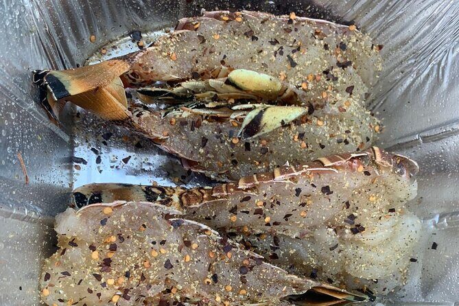 8HR Catch and Grill in Turks and Caicos Islands - Price and logistics: is $2,688 for a group of 12 actually good value?