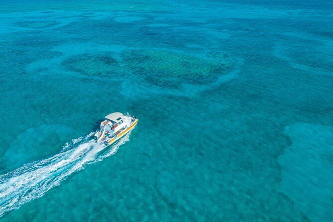 Afternoon Half Day Cruise from Providenciales with Snorkeling and Iguana Island - Key moments worth planning for