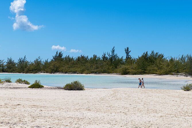 Afternoon Half Day Cruise from Providenciales with Snorkeling and Iguana Island - Lunch, Rum Punch, and Why Timing Matters