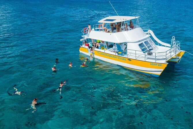 Afternoon Half Day Cruise from Providenciales with Snorkeling and Iguana Island - Price and Value: Is $159.30 a Good Deal?