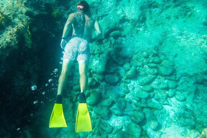 All Day Adventure with a Beach BBQ Feast from Providenciales - Pine Cay Reef snorkeling and the return cruise with rum punch