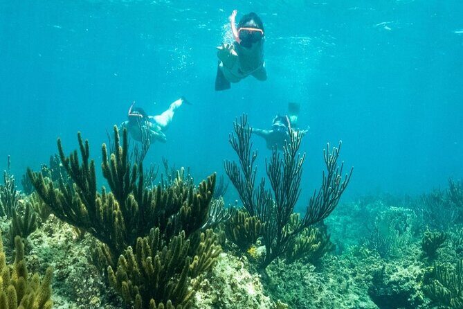 All Day Adventure with a Beach BBQ Feast from Providenciales - What to pack for a day out on the water