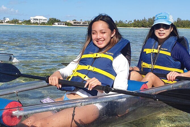 Clear Bottom Kayaks Mangrove Tour - Wildlife you can realistically hope to spot: turtles, lemon sharks, stingrays, conch