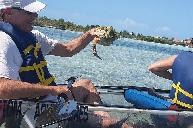 Clear Bottom Kayaks Mangrove Tour - Guides and group vibe: why instruction quality shows up in the reviews
