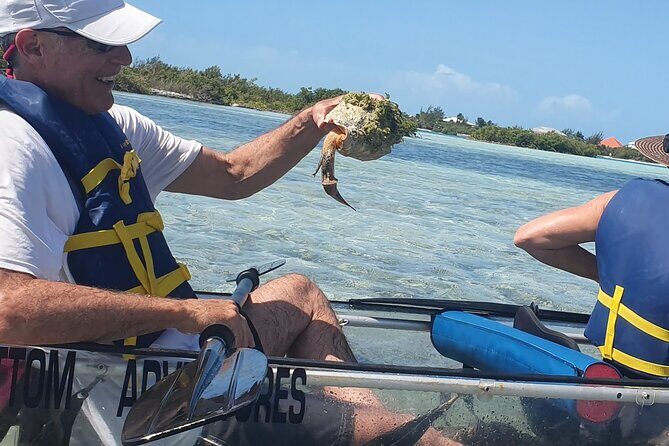 Clear Bottom Kayaks Mangrove Tour - Paddling vs towing: how to think about your expectations for the 2 hours