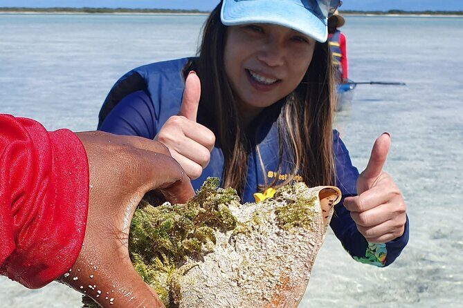 Clear Bottom Kayaks Mangrove Tour - Price and value: is $125 per person worth it?