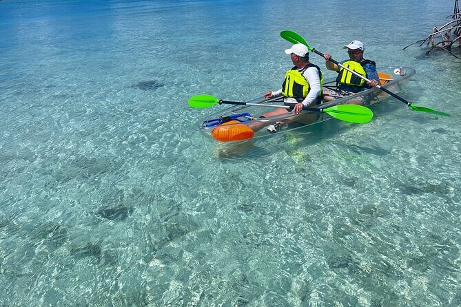 Clear Kayak Eco Tour Explore Mangroves and Meet the Turtles - Gear and Safety: Life Jackets, Clear Kayaks, and Simple Checks