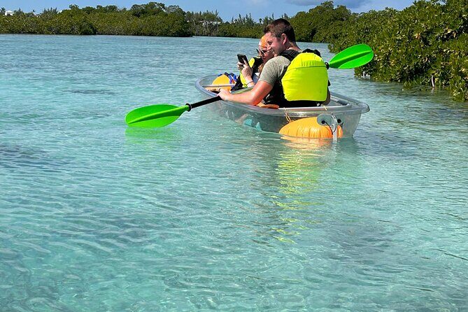 Clear Kayak Eco Tour Explore Mangroves and Meet the Turtles - Price and Value: Is $112 Worth It for What You Get?