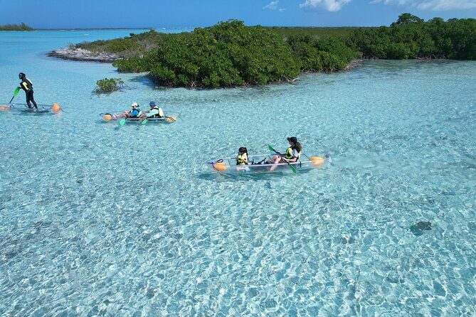 Clear Kayak Eco Tour Explore Mangroves and Meet the Turtles - Pickup, Meeting Point, and What to Bring From Leeward Settlement