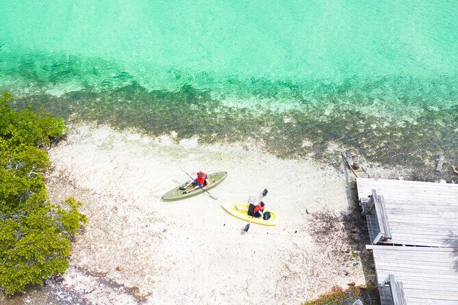 Clear kayak Grand Turk Island Kayak Tour of the mangroves - Price and Value: What $100 Buys You on This Private Kayak Trip