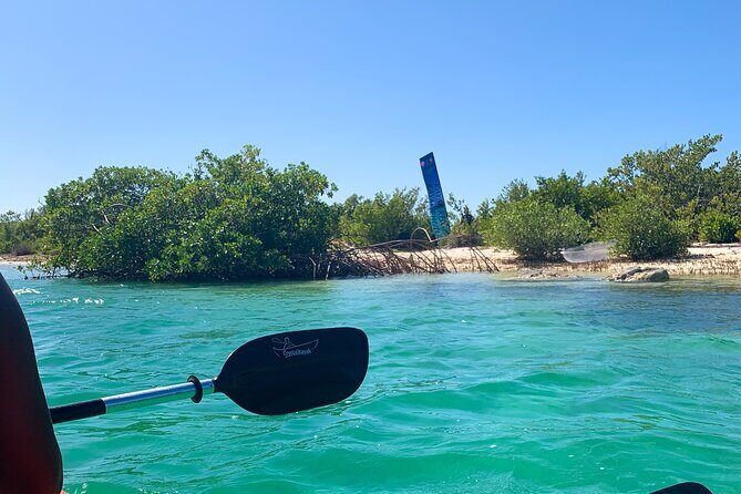 Clear kayak Grand Turk Island Kayak Tour of the mangroves - Pacing, Wildlife Watching, and What to Expect From the Experience Style