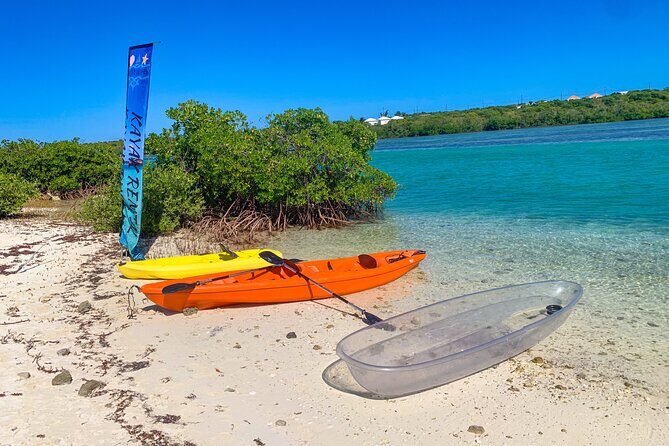 Clear kayak Grand Turk Island Kayak Tour of the mangroves - Who This Kayak Tour Fits Best (and Who Might Skip It)